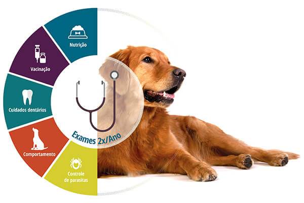 Check Up 2x ano Veterinária