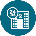 hospital veterinario 24h
