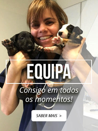 Equipa HVSM