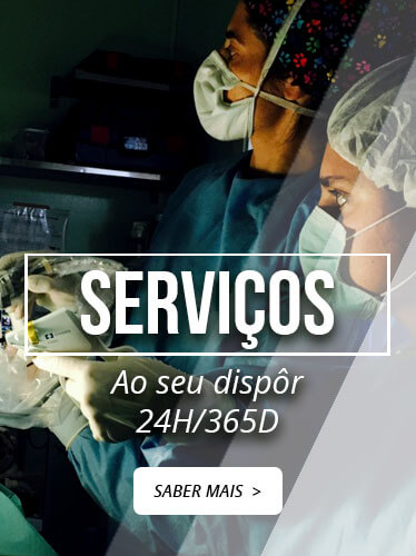 Serviços Veterinários